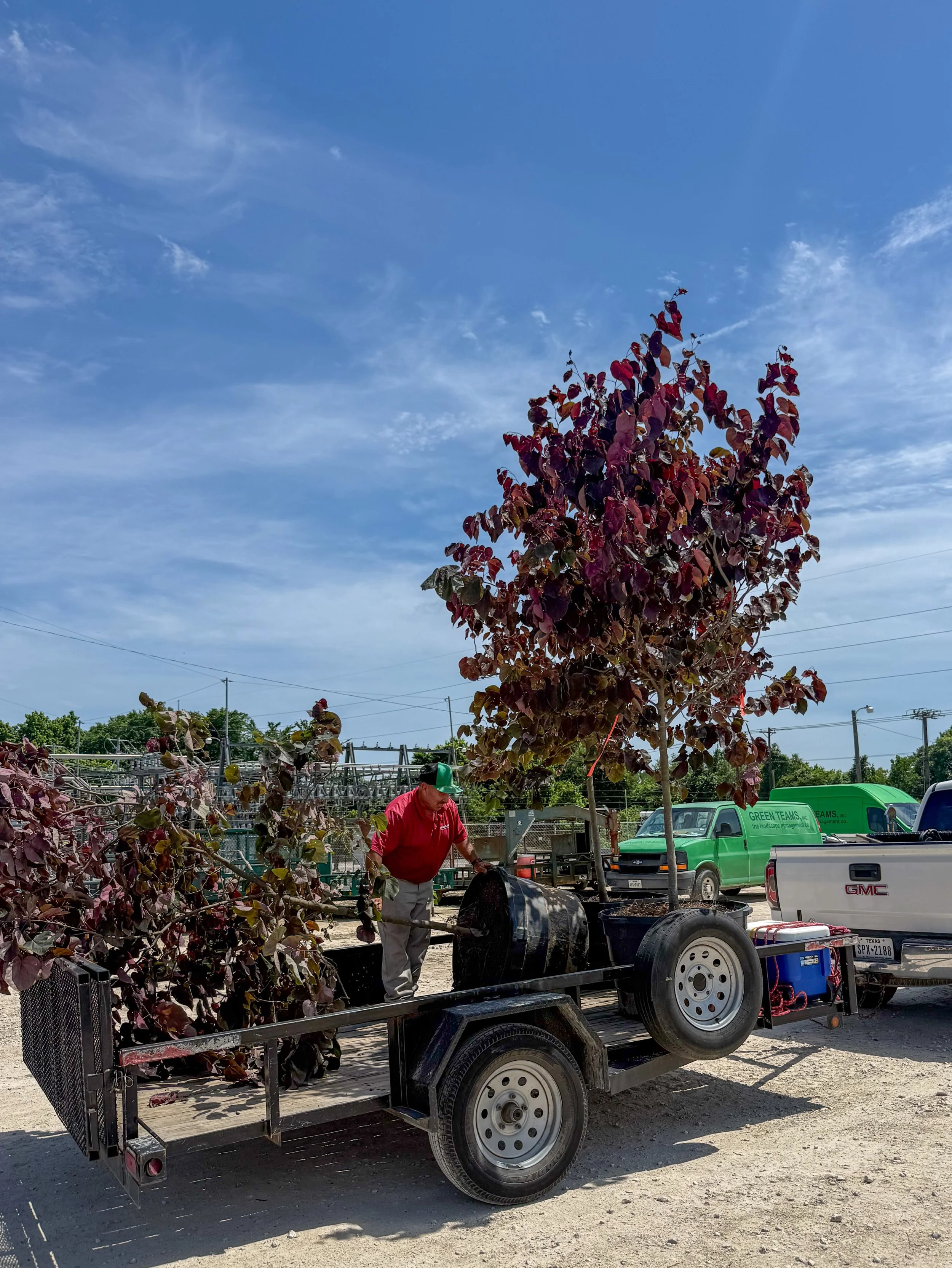 Getting ready to deliver some beautiful trees🍁🌳
#texadlandscaper #landscapemaintenance #landscapeenhancement #landscapedesi̇gn #collegestationlandscaping