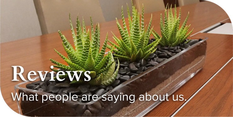 reviews link - photo of plant centerpiece